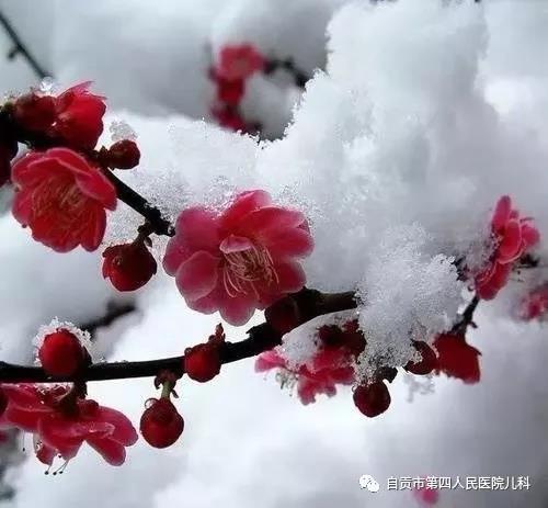 微信图片_20191101195114.jpg